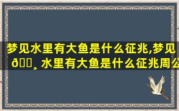 梦见水里有大鱼是什么征兆,梦见 🌸 水里有大鱼是什么征兆周公解梦